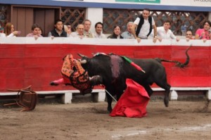 FANDI HERIDO EN LA PLAZA BELMONTE