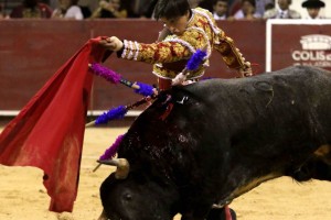 Toros117_8319456