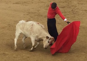 IMG-20160122-WA0006