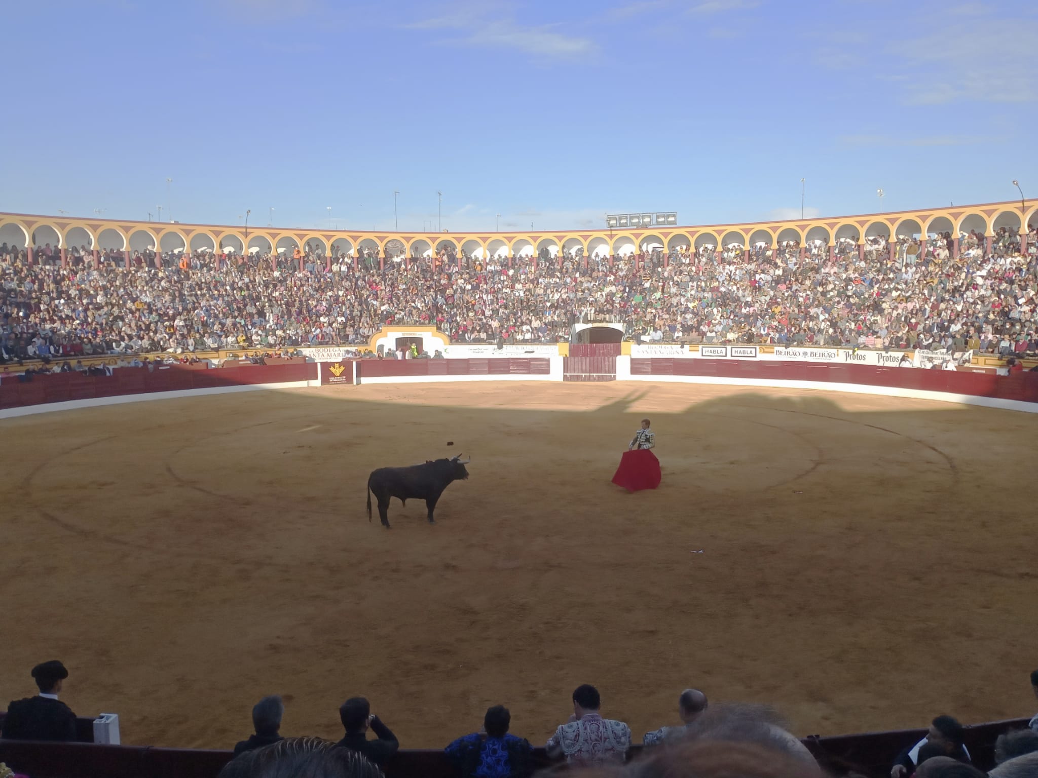 Zalduendo Echa Por Tierra Una Tarde De Enorme Expectaci N