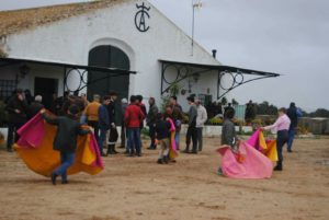 marcelino-acosta-1-sevilla-amate