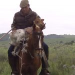 Ganadería Rocío de la Cámara